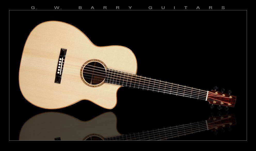 GW Barry Guitars 000+