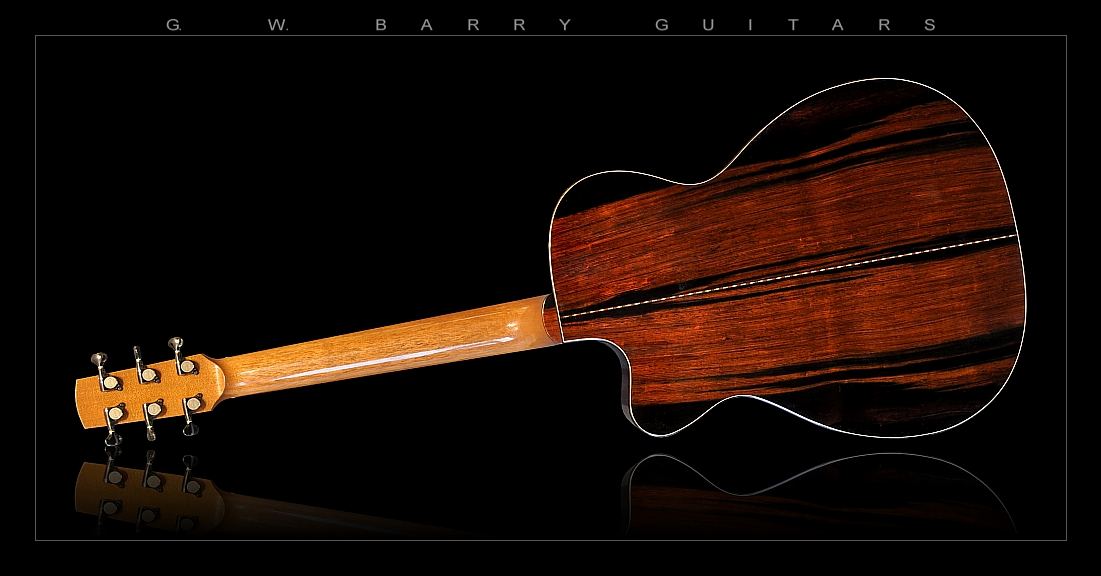 GW Barry Guitars