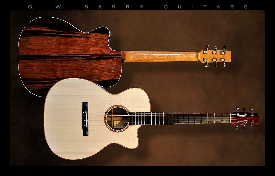 GW Barry Guitars