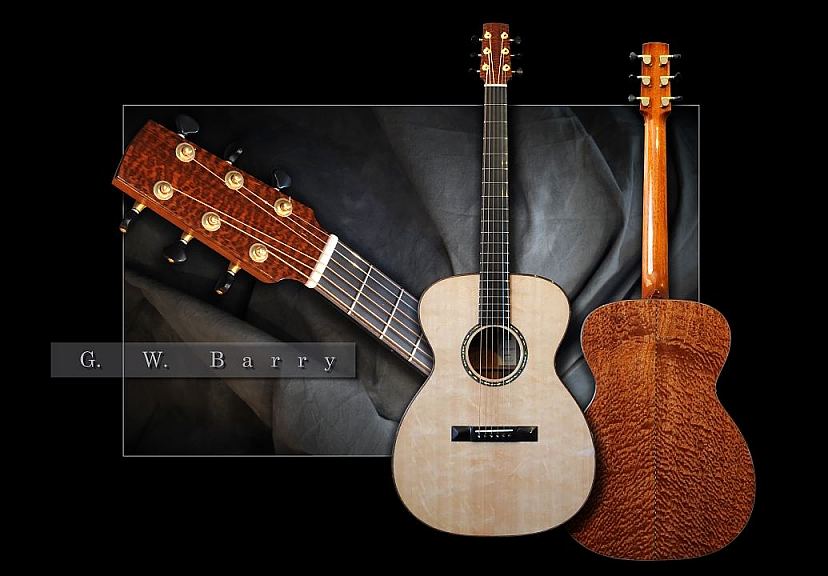 GW Barry Guitars