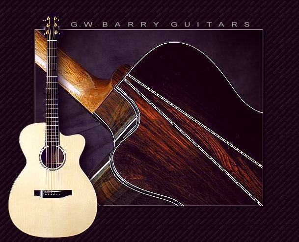 GW Barry Guitars