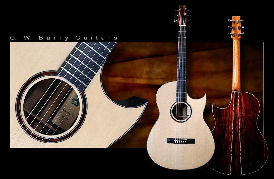 GW Barry Guitars